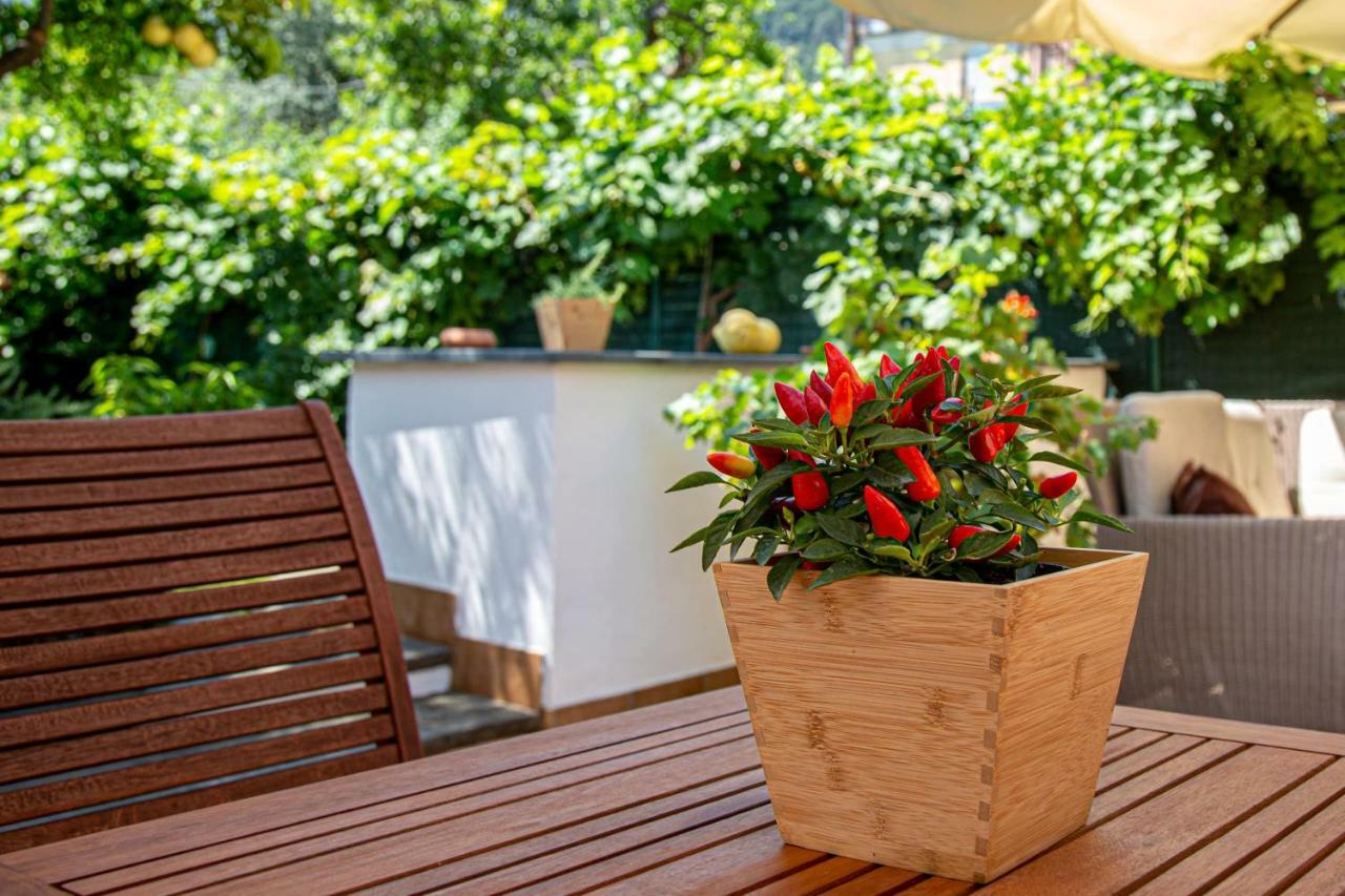 Xenia House Sorrento Hotell Exteriör bild